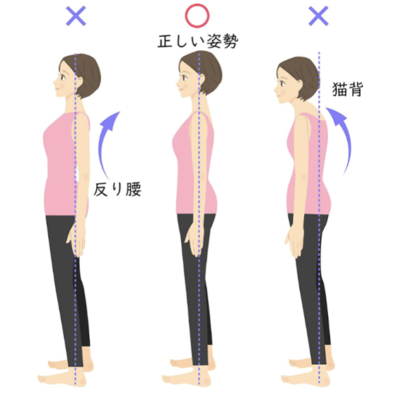 瑞穂市、北方町、大野町、本巣市で腰痛の改善はただし整体院にお任せください