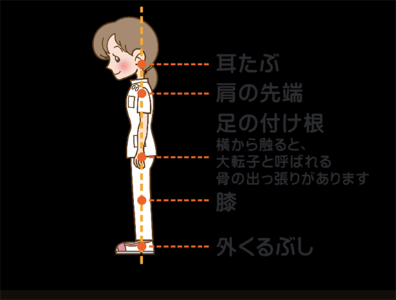 瑞穂市、西岐阜、東大垣で姿勢の整体はただし整体院にお任せください