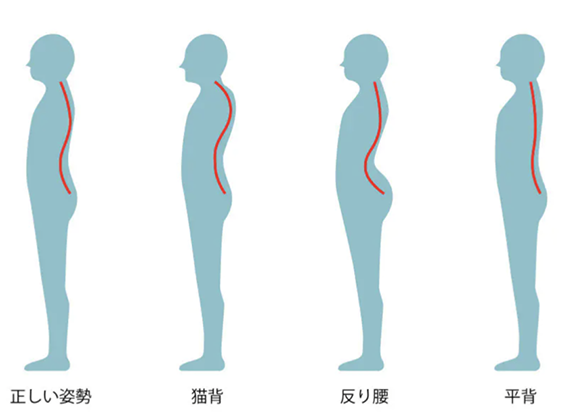 西岐阜、東大垣、瑞穂市で腰痛の整体はただし整体院にお任せください。